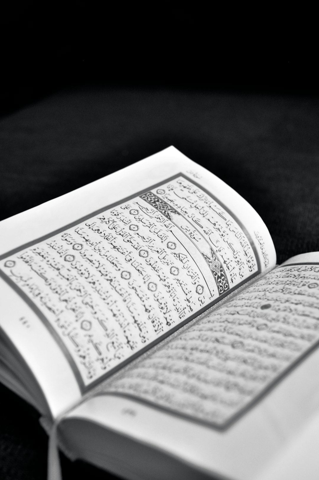 Quran Recitation Audio